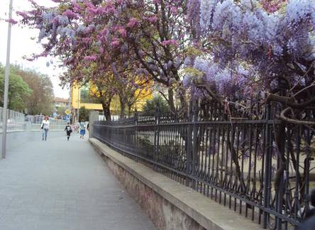 Отель Apartment Alyosha