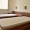 Отель Apartment Antim 1
