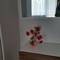 Отель Lazur Apartment Romato