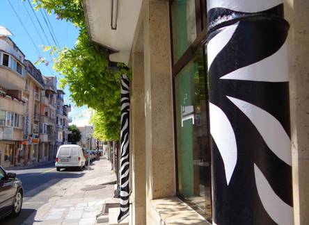 Отель Hostel Zebra