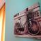 Отель Hostel Zebra