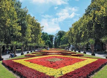 Отель Apartment Primorskiy Park