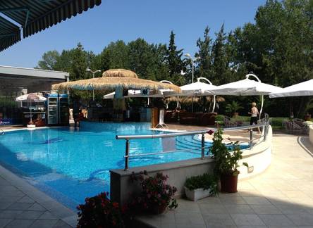 Отель Flamingo Hotel