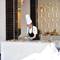 Отель Grifid Hotel Metropol