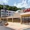 Отель Grifid Hotel Foresta