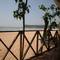 Отель Sandy Feet Beach Garden