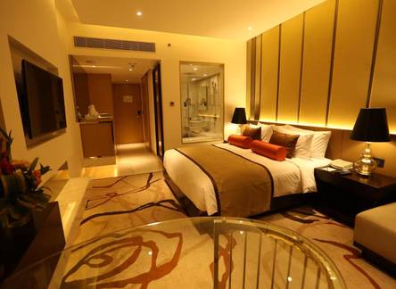 Отель Pride Plaza Hotel Aerocity