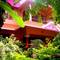 Отель Ganesh House Homestay