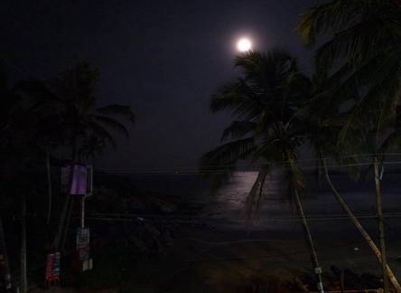 Отель Stay Well Ayurvedic Beach Resort