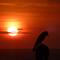 Отель Stay Well Ayurvedic Beach Resort