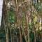 Отель ST Bhavan Homestay