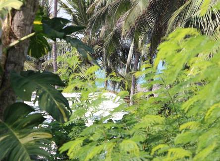 Отель Johny's Beach House