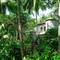 Отель Paradise Gardens Beach Resort