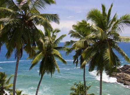 Отель MyStays @Light House Beach, Kovalam