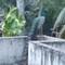 Отель Johnys Backpackers Hotel