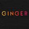 Отель Ginger Jaipur