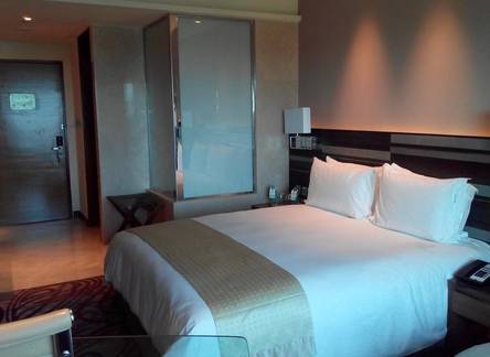 Отель Holiday Inn Jaipur City Centre