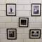 Отель Le Pension Backpackers Hostel Jaipur