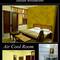 Отель Hotel Vijeet Palace