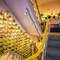 Отель Roadhouse Hostels