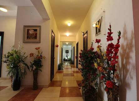 Отель Hotel Hari Villa
