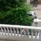 Отель Nayan Homestay