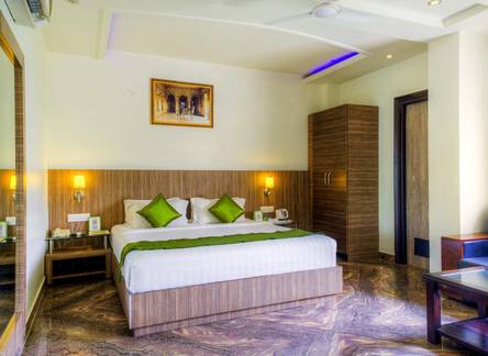 Отель Treebo King Palace