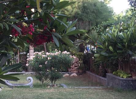 Отель Plumeria