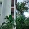 Отель Lush View Apartment at Heritage Exotica