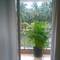 Отель Apartment La Quinta