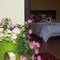 Отель Sa Pa Accommodation