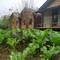 Отель Anh Duc Homestay