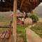Отель Tavan Ecologic Homestay