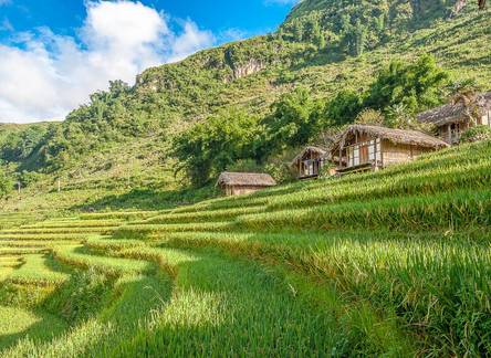 Отель Eco Palms House