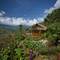 Отель Eco Palms House