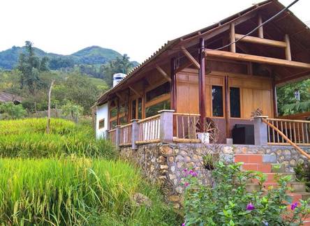 Отель Luckydaisy Buffalo House