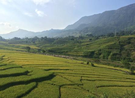 Отель Viet Tuan Hotel