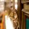Отель Peridot Gallery Classic Boutique Hotel