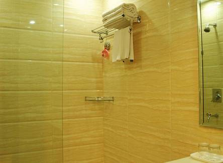Отель Regent Continental