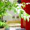 Отель The Old Phuket Karon Beach Resort