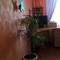 Отель Apartment on Tereshkovoy 26