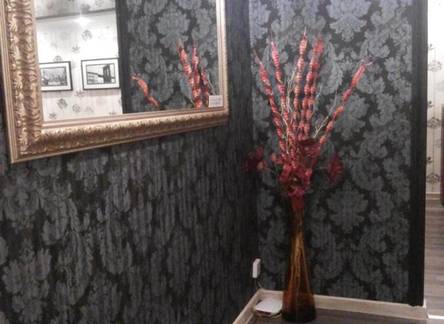 Отель Apartment Nika