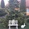 Отель Holiday Home Alexandr