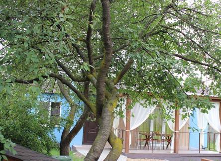 Отель Holiday Home na Polevom