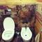 Отель Holiday Home Lesnaya 20