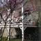 Отель House Livos