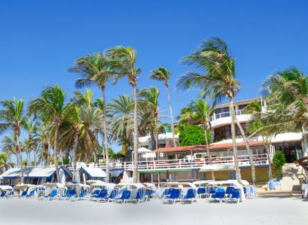 Отель Hotel Paradise Surf