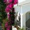 Отель Apollon Hotel Apartments