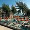 Отель Zeus Eleva Kassandra Lagoon