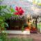 Отель Marari Beach Resort